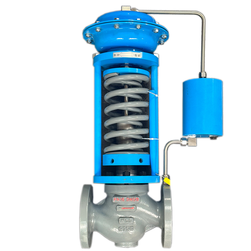 蒸汽专自立式压力调节阀